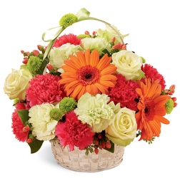 Best Day Basket